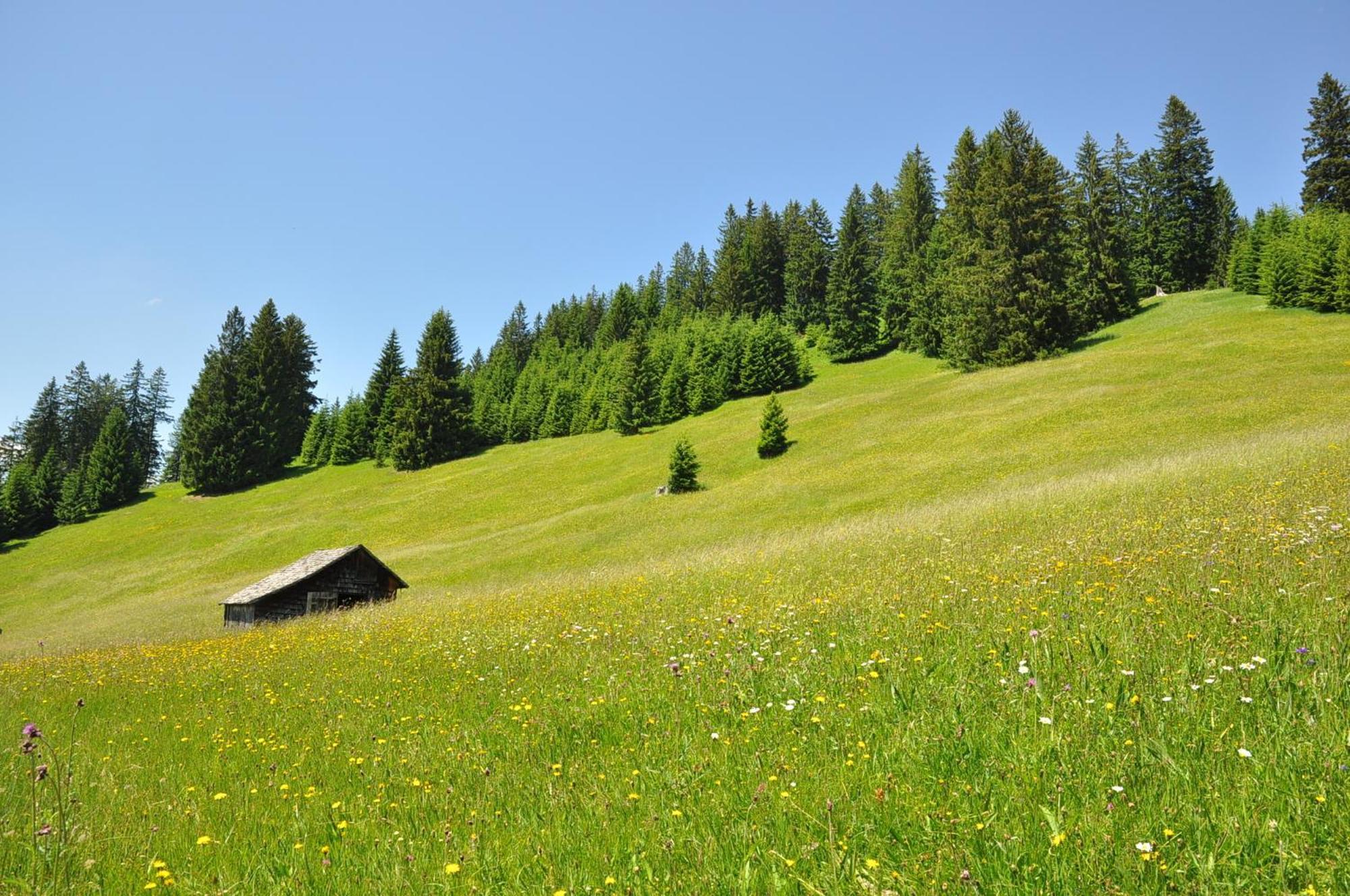 Landhaus Alpensonne Schattwald Exterior foto